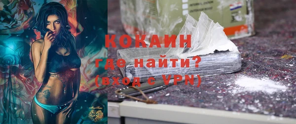 прущие грибы Снежинск